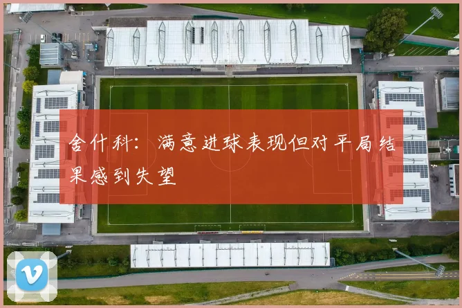舍什科：满意进球表现但对平局结果感到失望