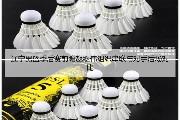 辽宁男篮季后赛前瞻赵继伟组织串联与对手后场对比 | PGSoft